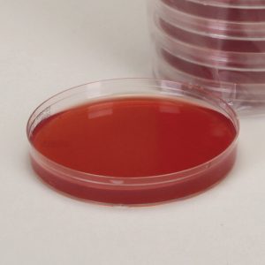 MacConkey Agar