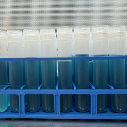 Rappaport Vassiliadis Salmonella Enrichment Broth