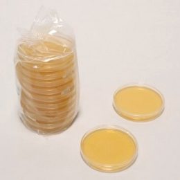 Tryptic Soy Agar (Soybean-Casein Digest Agar)