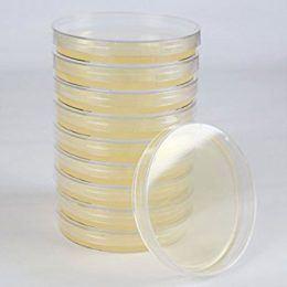 Potato Dextrose Agar