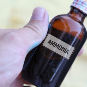 Ammonia TS (6 N in NH3)